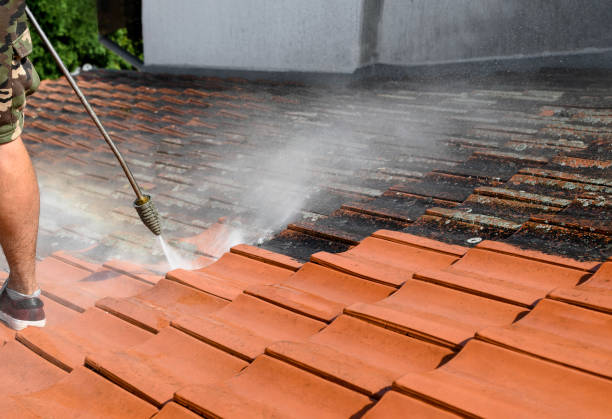 Best Affordable Pressure Washing  in Redwood Falls, MN