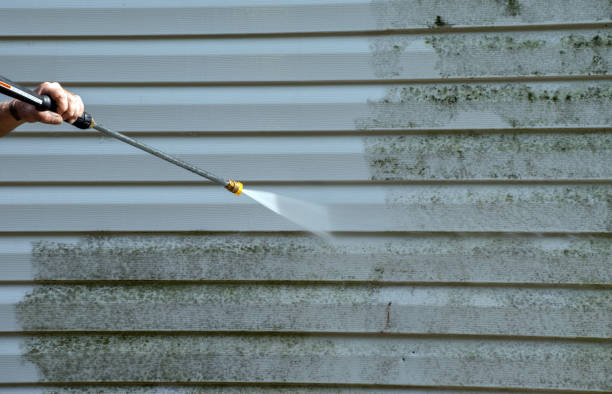 Best Roof Pressure Washing  in Redwood Falls, MN