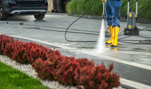 Best Exterior Home Cleaning  in Redwood Falls, MN