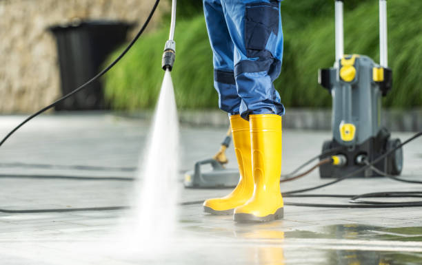 Best Roof Power Washing Services  in Redwood Falls, MN
