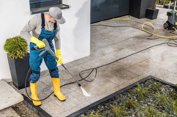 Best Roof Power Washing Services  in Redwood Falls, MN