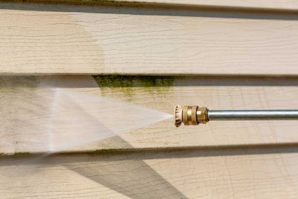 Best Residential Pressure Washing Services  in Redwood Falls, MN