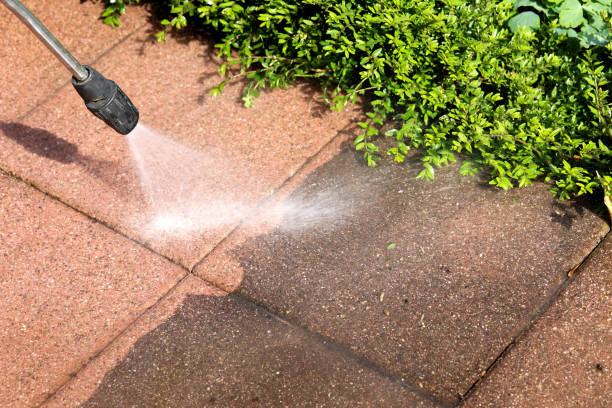 Roof Power Washing Services in Redwood Falls, MN
